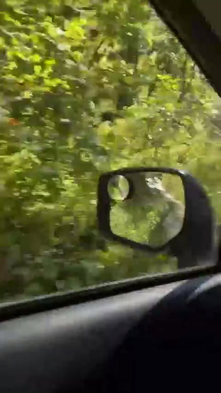 MIJAtilde_O BANHEIRO PUBLICO NO BRAZIL -01_25d6045f