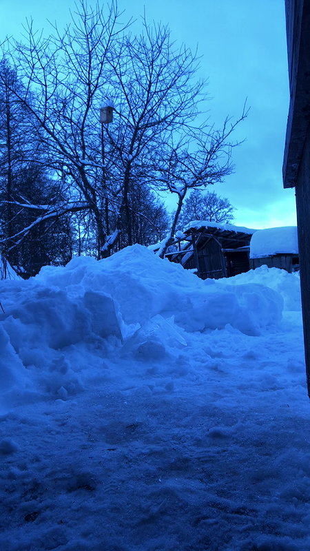 outdoor public fuck_0d379fbb