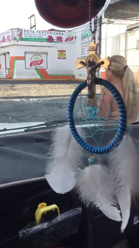 quot_YOU039_RE STRETCHING MY PUSSYquot_ Hot Latina Fucks Massive Cock in Public Tokyo Lynn VS World Biggest Cock_be38ce9e