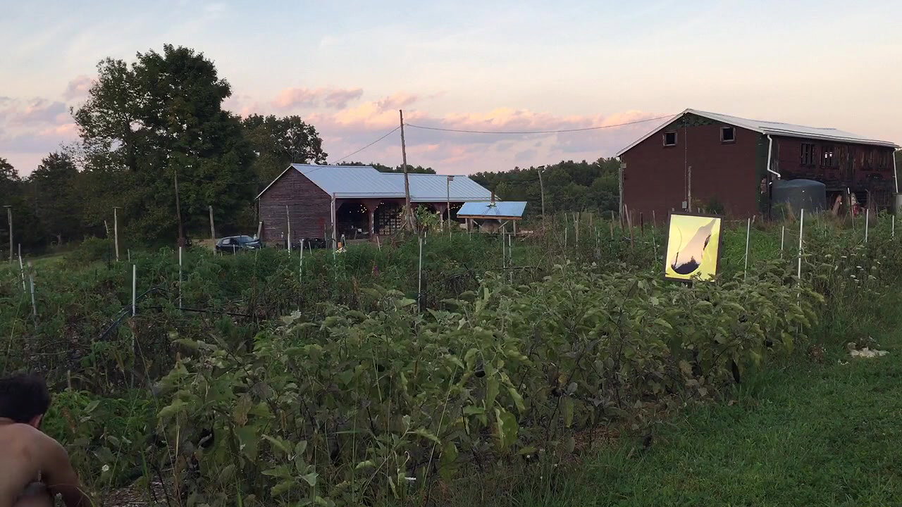 REAL PUBLIC SEX VALENCIA_eb79b98c