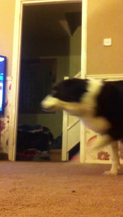 2-girls-doing-crazy-things-naked_redband