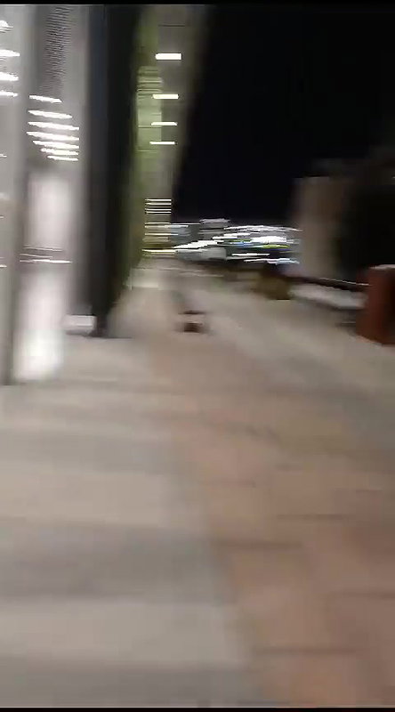 Crazy_Woman_Naked_at_Chilean_Airport