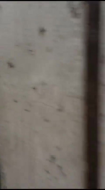 Crazy_Woman_Naked_at_Chilean_Airport