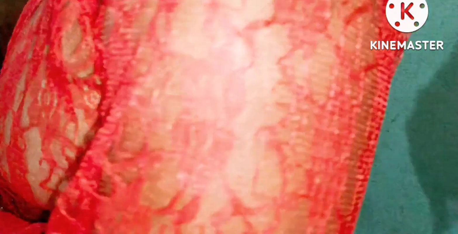 Payal bhabi ki hot romance with her stepbrother.