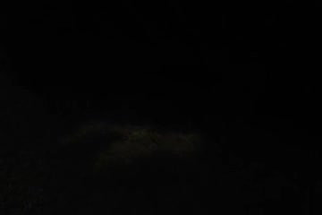 real homemade amateur girl fingering pussy close up