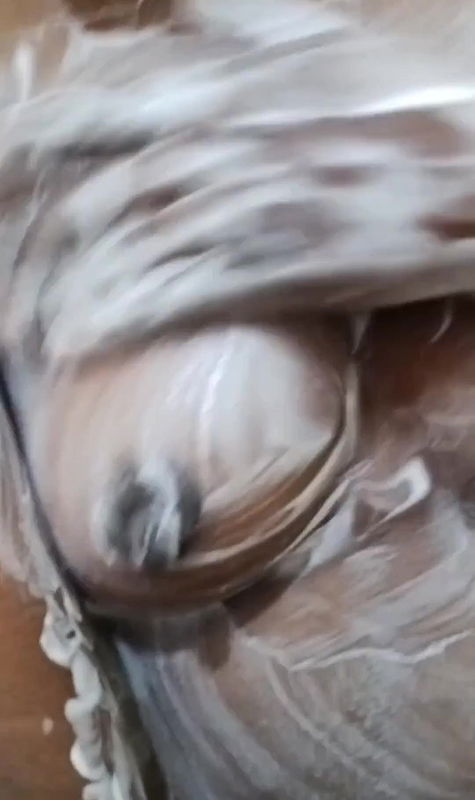 Sexy Desi bhabhi viral video.