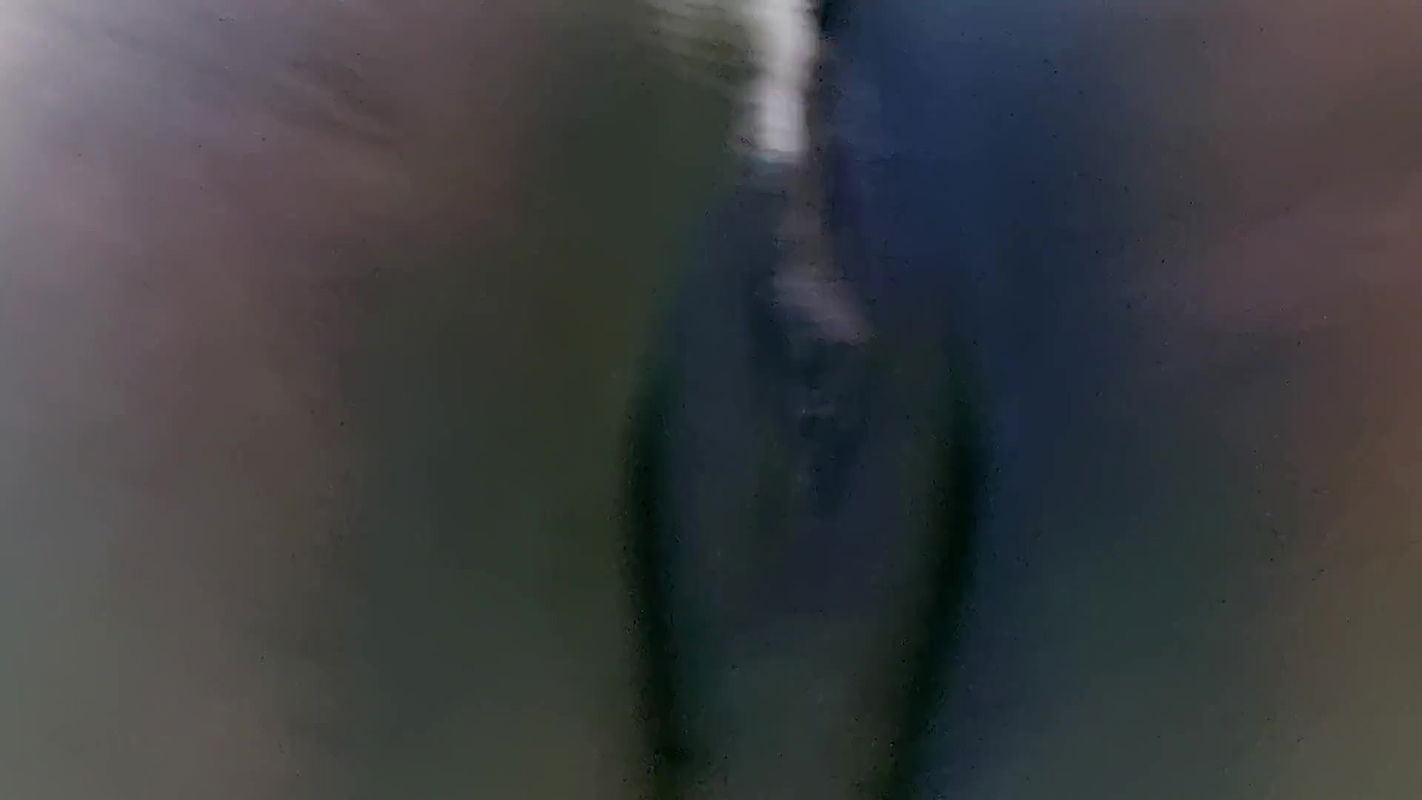 Tamil aunty (Mahi) moaning.