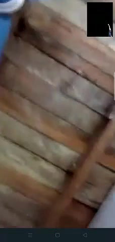 Shy Desi Girl Arpita Showing on Video Call