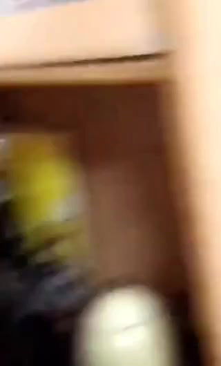 Extremely Beautiful Couple