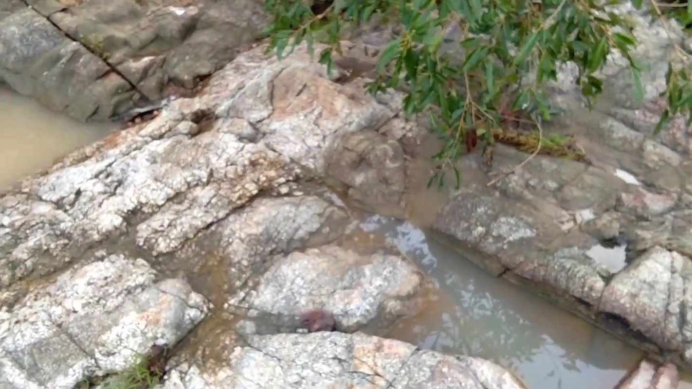Fucking y. Wife In River During Bath