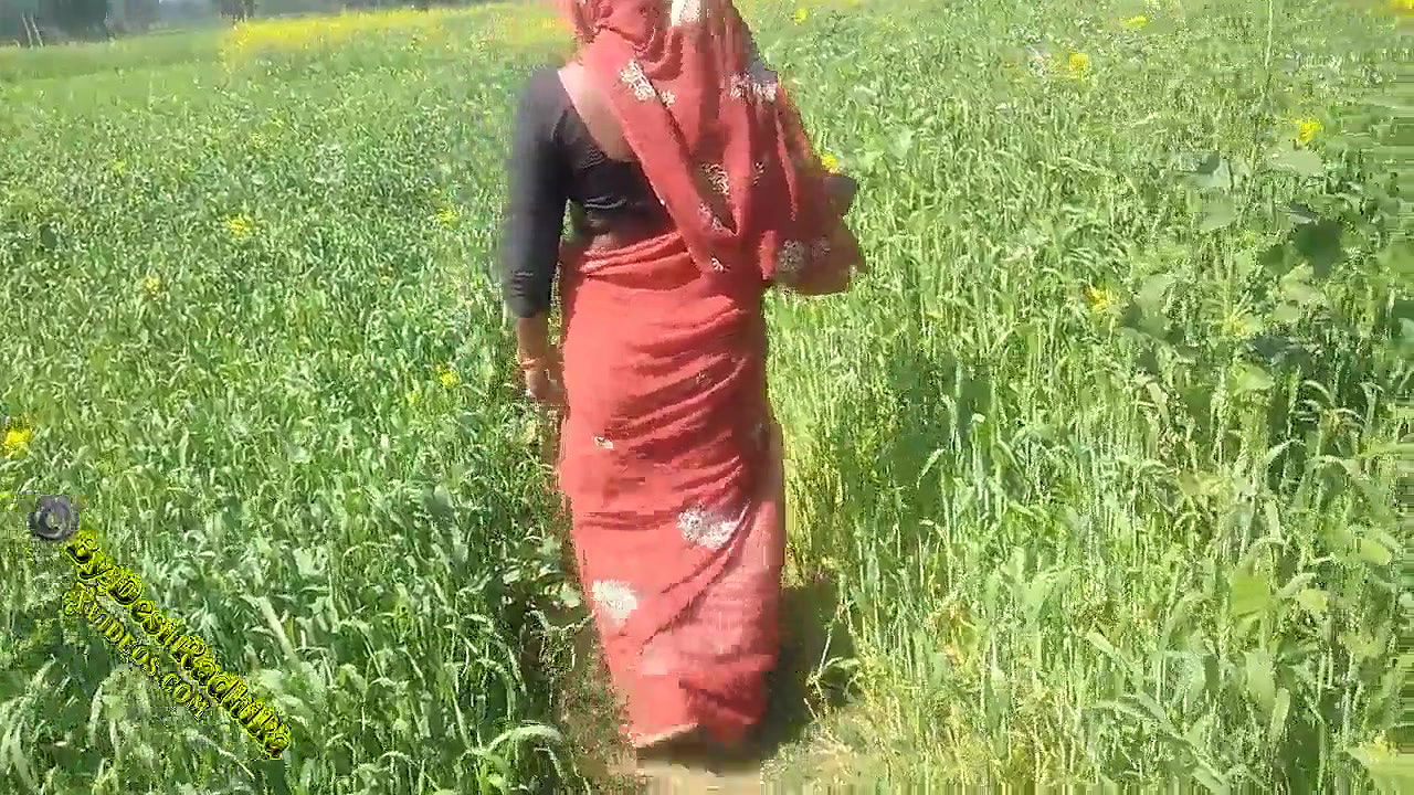गांव की मजदूर की मलाईदार देसी चूत को खेत में चोदा हिंदी में अश्लील
