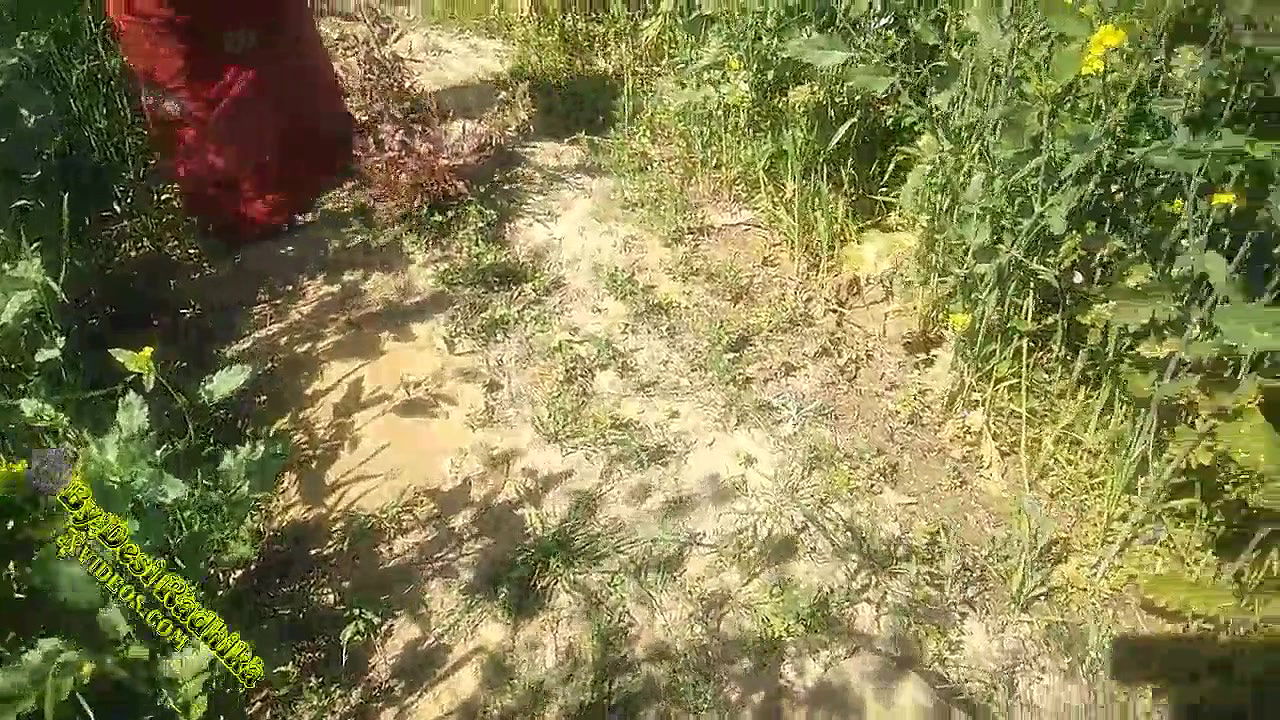 गांव की मजदूर की मलाईदार देसी चूत को खेत में चोदा हिंदी में अश्लील