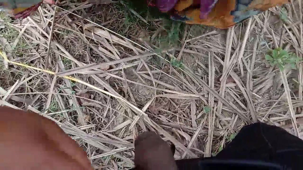 गेहूं के खेत मे सासुर जी ने जबरदस्ती चोद दिया