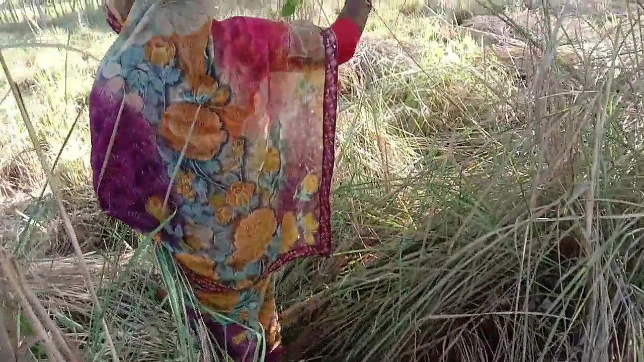 गेहूं के खेत मे सासुर जी ने जबरदस्ती चोद दिया