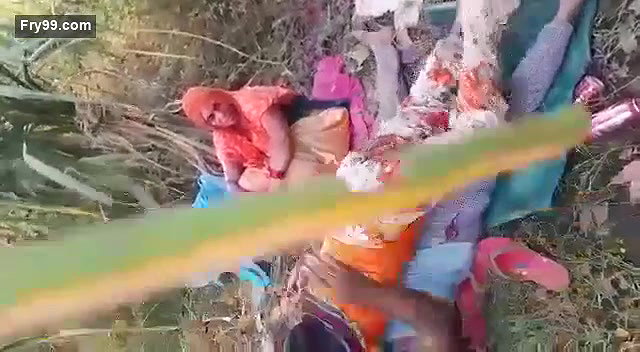 In jungle fun with aunty