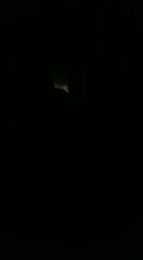 Horny Odia Bhabhi Masturbating