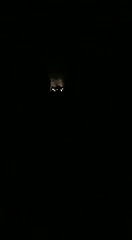 Horny Odia Bhabhi Masturbating