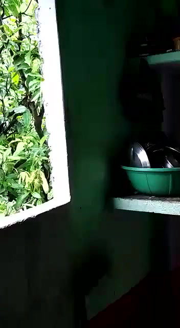Fucking in kitchen with father in lw