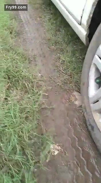 Lover Fucking Caught