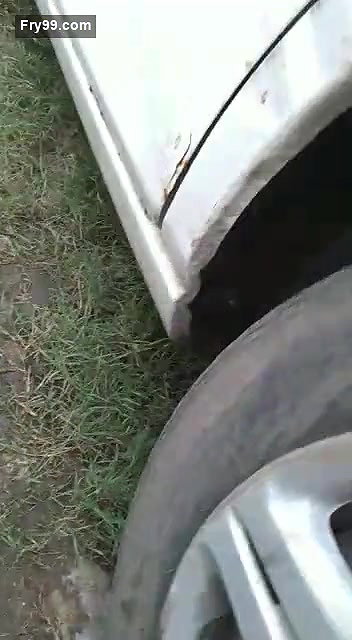 Lover Fucking Caught