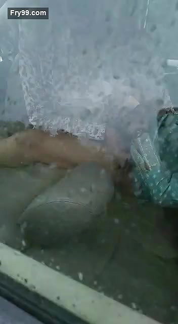 Lover Fucking Caught