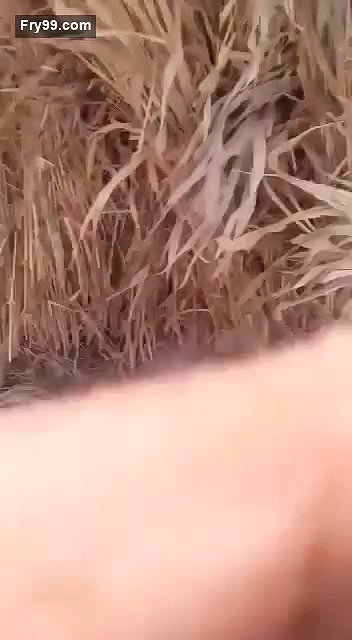 Dewar Bhabhi Fucking