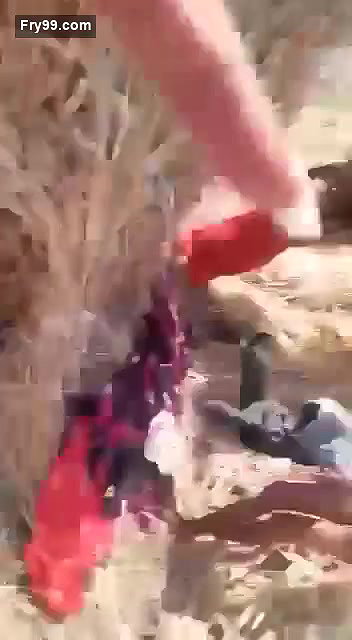 Dewar Bhabhi Fucking