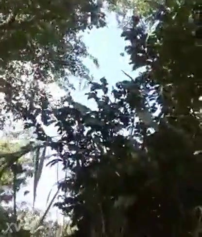 Despani couple fucking outdoor