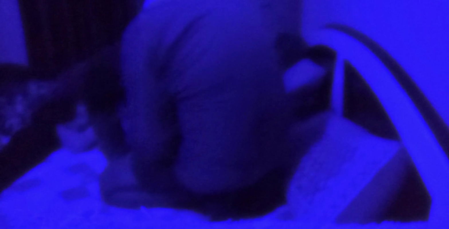 Cute and hot girl shared a bed while they gone for vacation (Part-1).