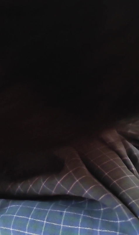 Indian step mom suking dick-malluhotbird.