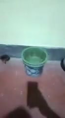 Pussy fingering by lover