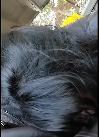 Extremely Cute Sweet Voice Paki Girl Sucking Lover Dick in Car Clear Hindi Talking