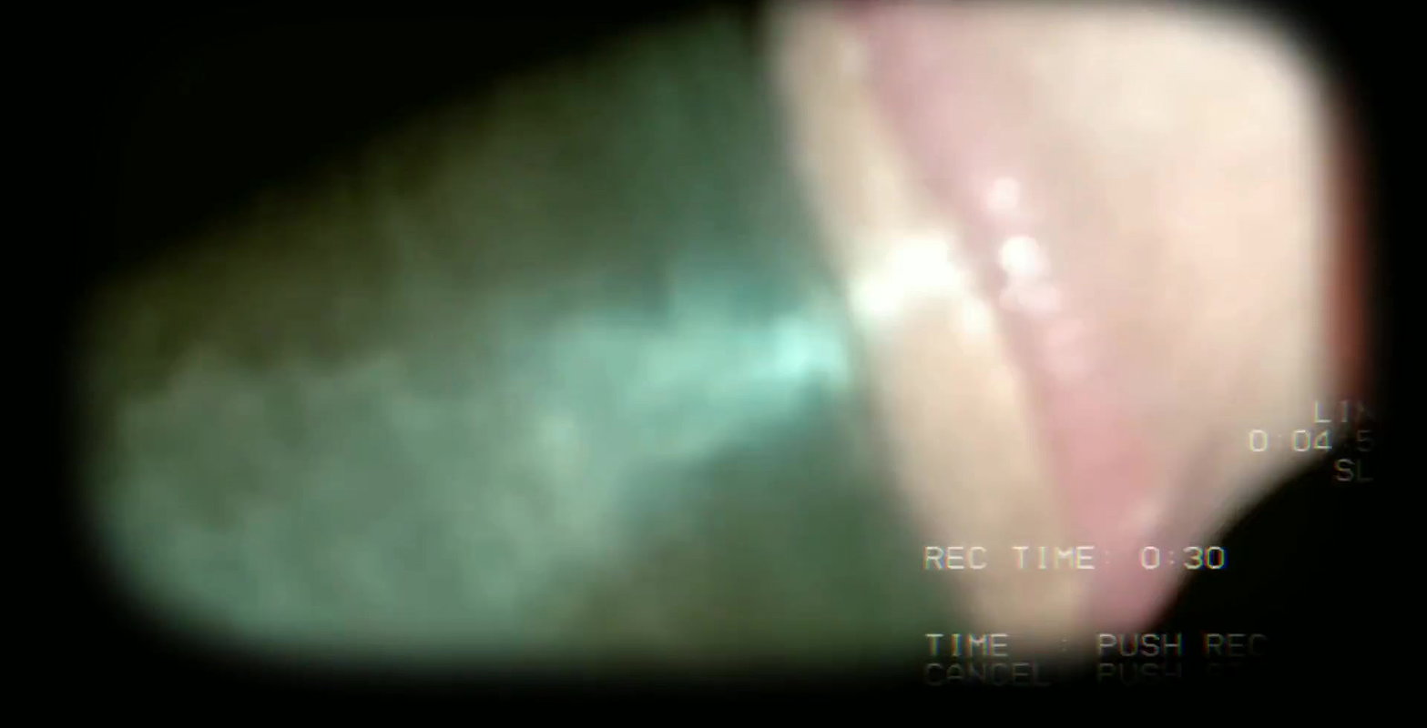 Bhabhi ne mast lund chusa.