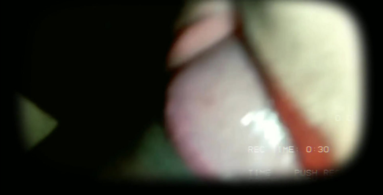 Bhabhi ne mast lund chusa.