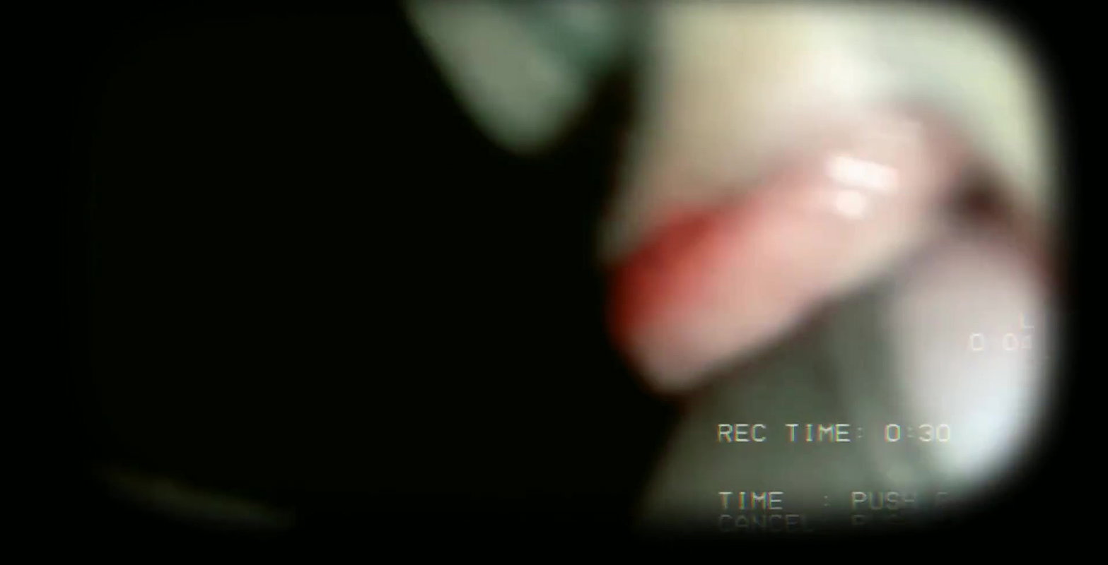 Bhabhi ne mast lund chusa.