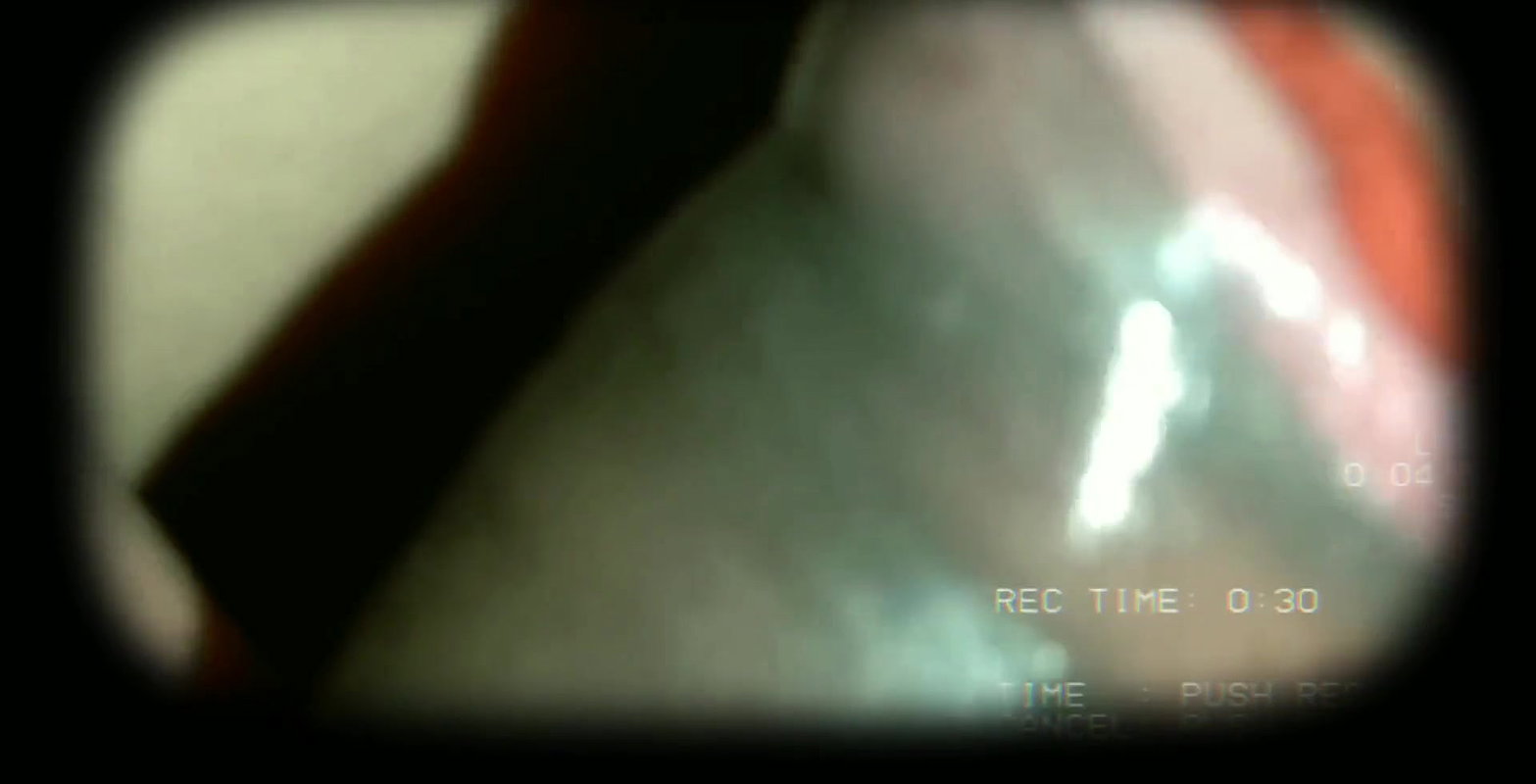 Bhabhi ne mast lund chusa.