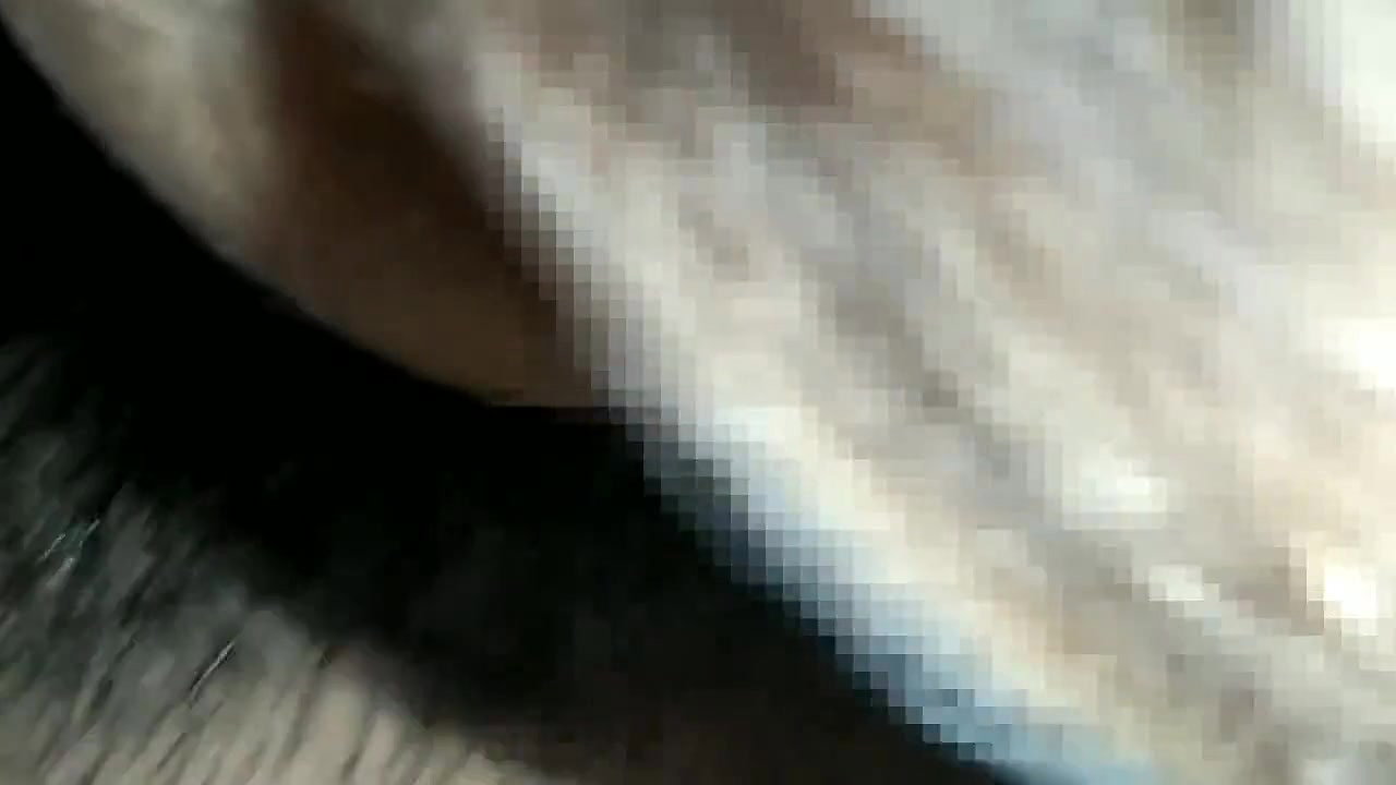 Bhabhi sucking in my dick.