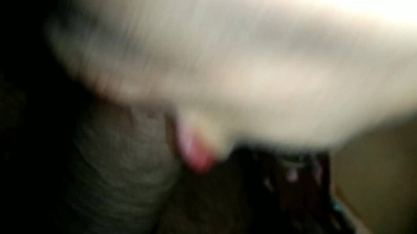 Kutiya ne lund chaba liya.