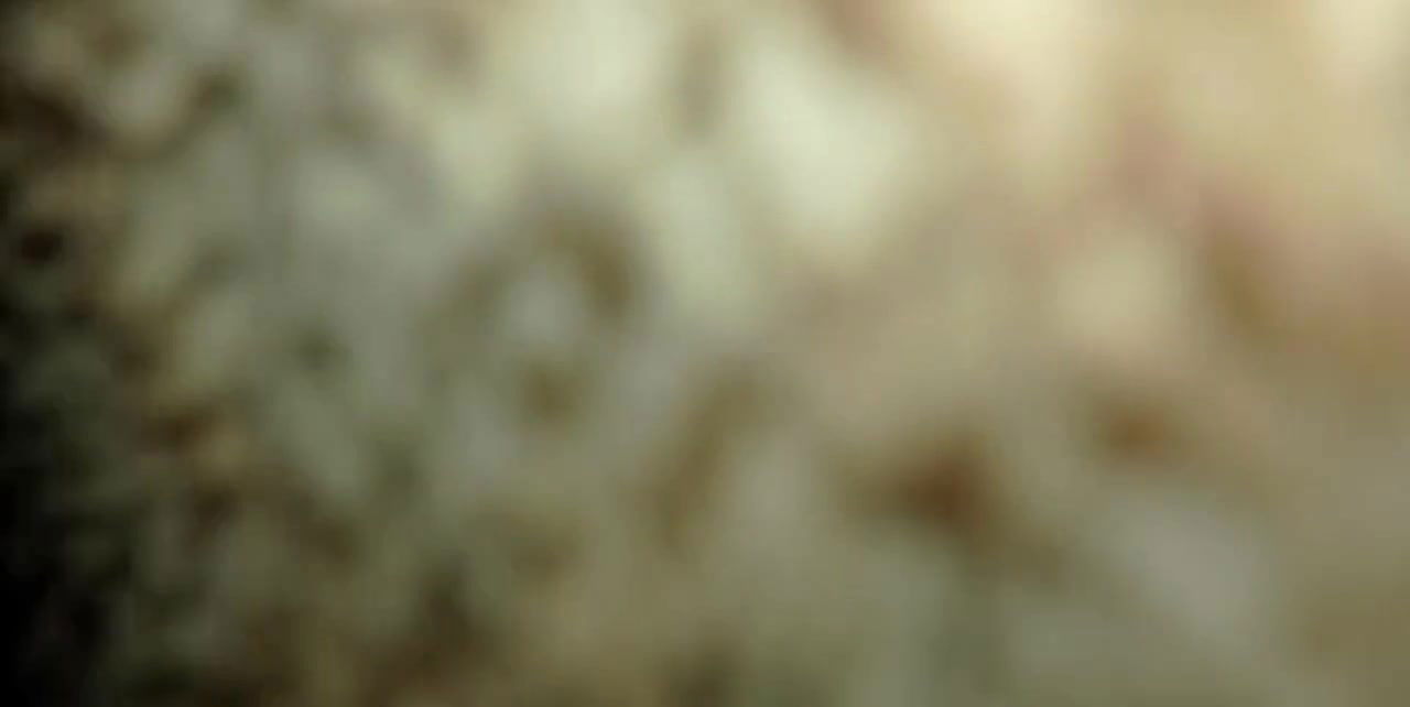 Last night 3am wake up and doing sax with my lovely coock.