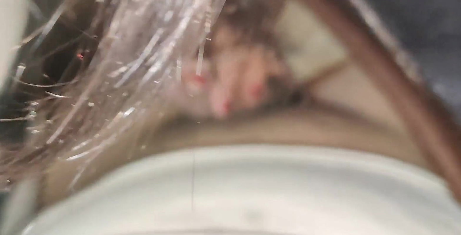 Oh my god first time fuck with most beautiful girl of Asia.