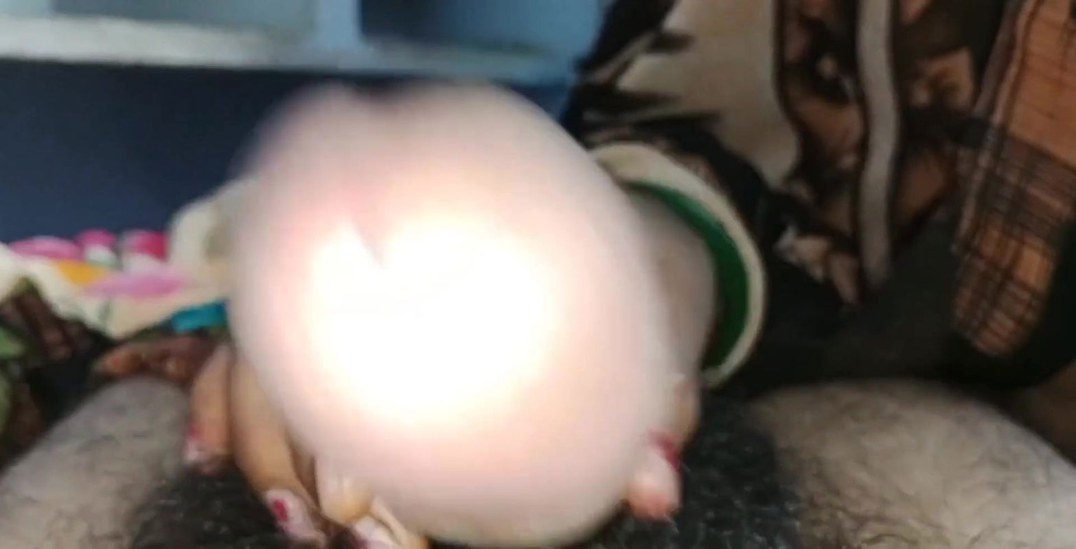 Red hand Caught mastrbating and sucking cock and fucking my weet pussy a huge cock on vergin pussy erotic pecking new co.