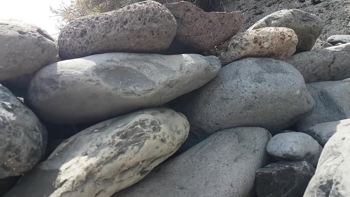 2020 Beach girls videos vol .142_cb69b2a0