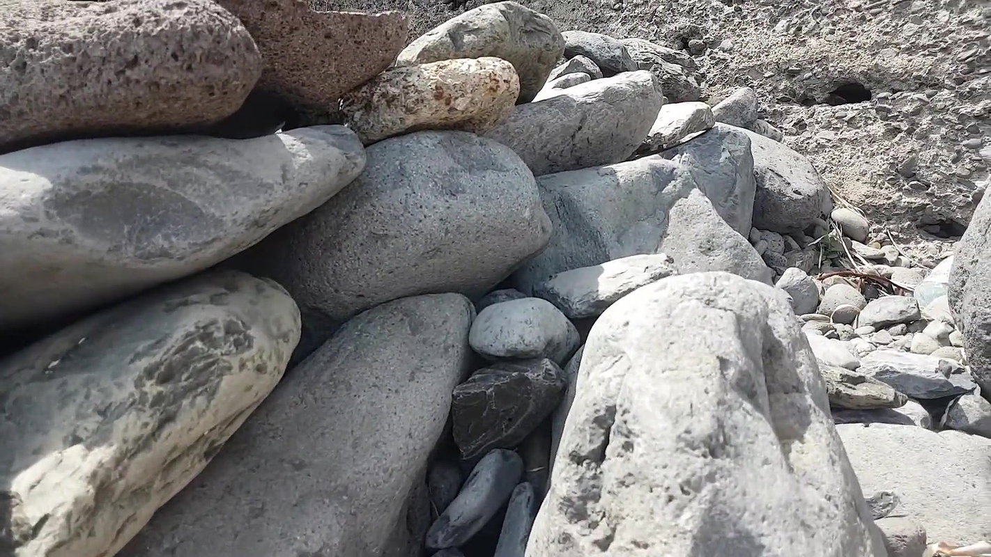 2020 Beach girls videos vol .142_cb69b2a0