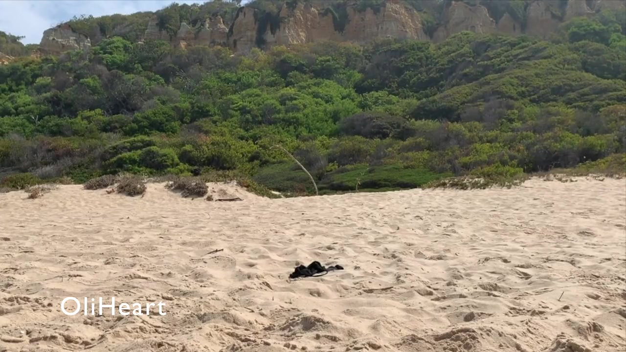 2022 Bikini Beach girls videos vol-742_bf93054f