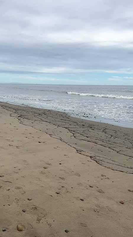 Big Ass Latina Tru Kait Sex in Beach House in Venice_d228b91f