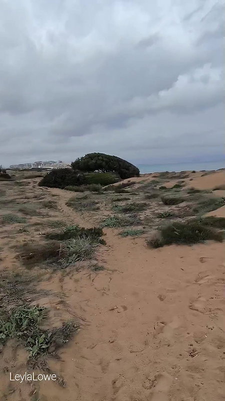 Corrina Karma in Wet Beach Dreams Full Feature_78e4520d