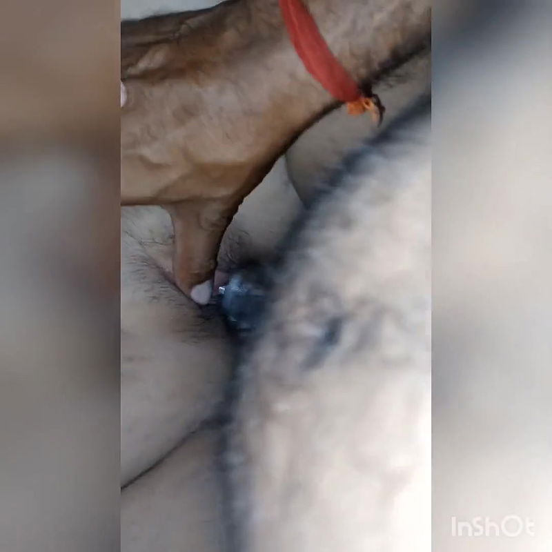 Desi chut hardsex indian bhabhi on cam.