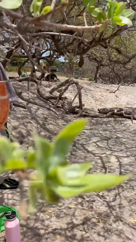 Sex man naked studs on beach and kinky boys teen gay porn movieture_b1e5f378