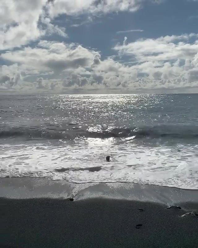 Bikini beach-red and blue_e024f088