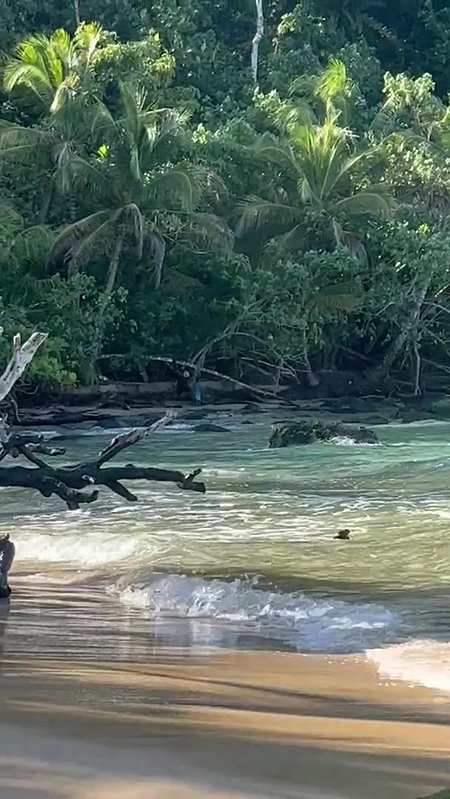 Girl pissing standing on a Public Beach Public Piss Fetish_60585c6c